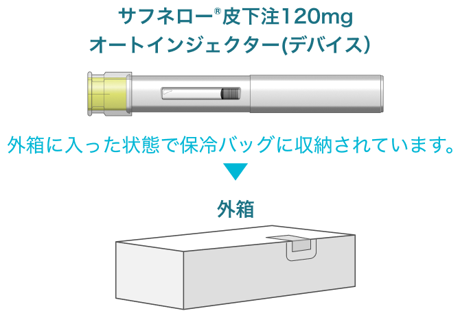 イラスト 外箱に入った状態で保冷バッグに収納されています。